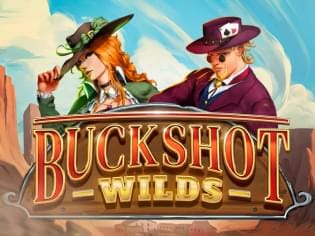 Buckshot Wilds game cover